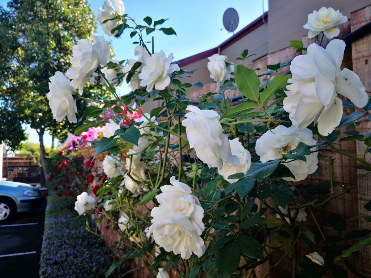 Annabelle Court Motel Christchurch Luaran gambar