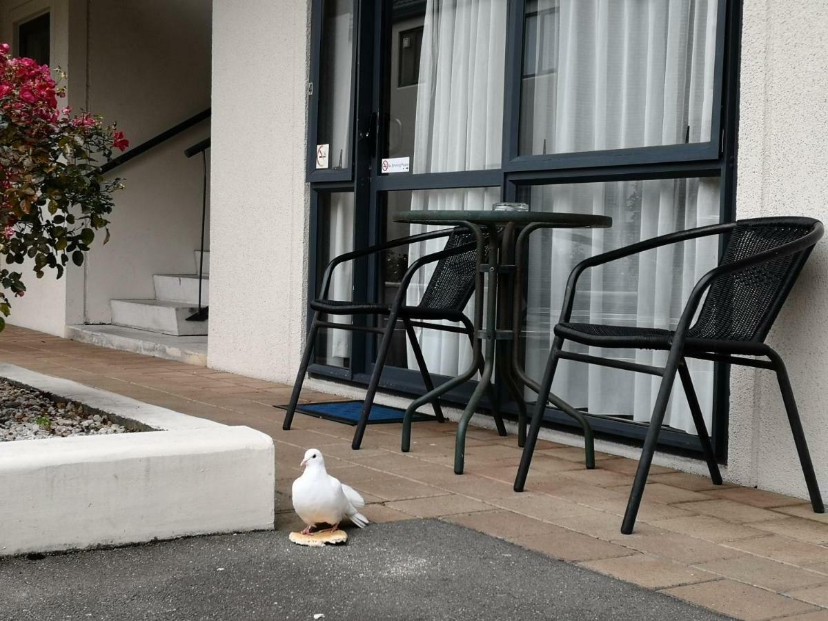 Annabelle Court Motel Christchurch Luaran gambar